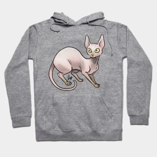 Cat - Sphinx Cat - Pink Hoodie